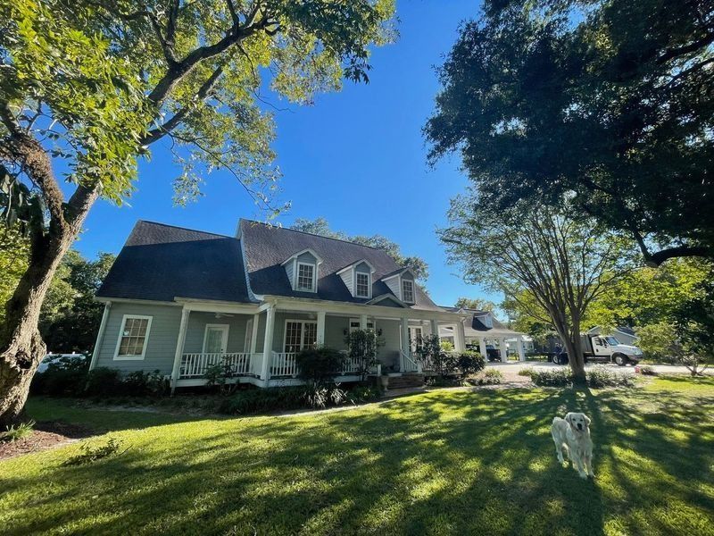 A green house with a porch, surrounded by trees, under a blue sky. A dog walks on the grass.