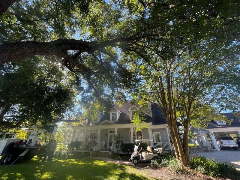 A house with a green lawn under a large tree with sunlight shining through the leaves.