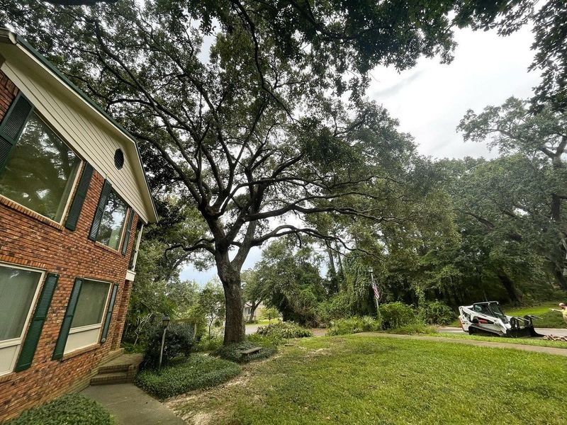 Brick building next to large tree in a yard, with a Bobcat in the background.