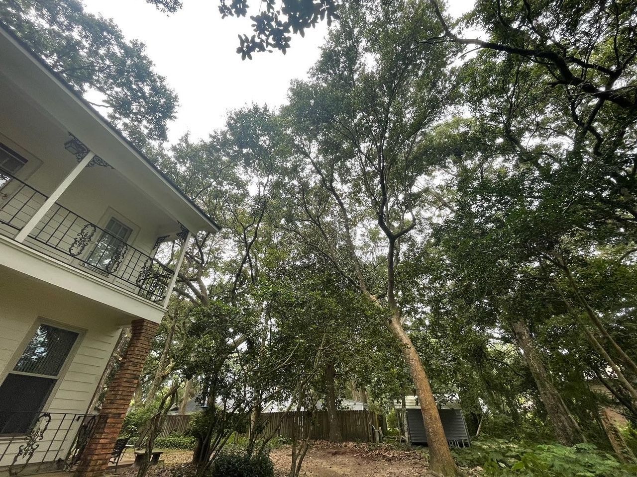 A two-story house with a balcony next to a large tree with green foliage; overcast sky.