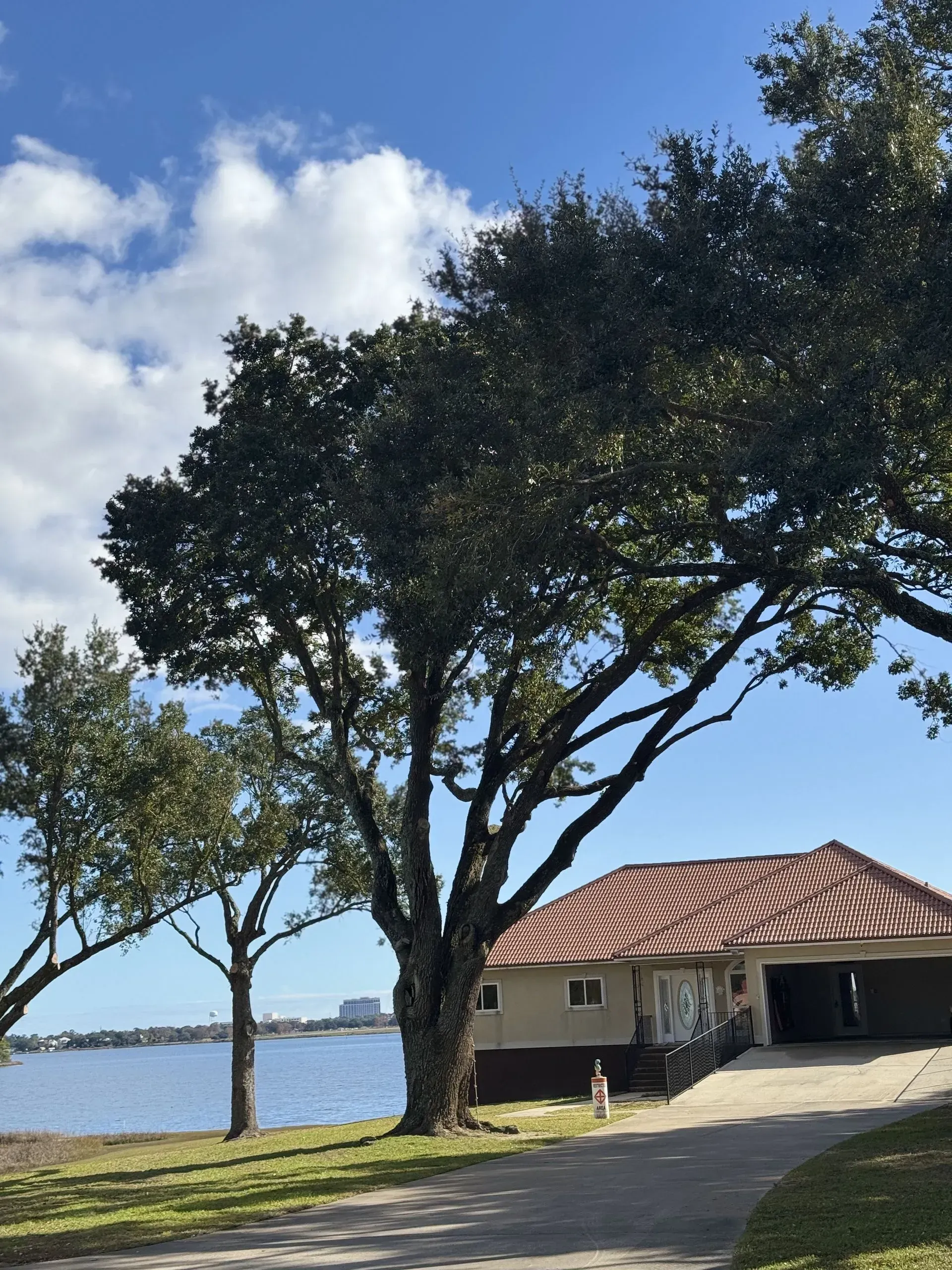 Large tree overhanging a house by a body of water under a partly cloudy blue sky.