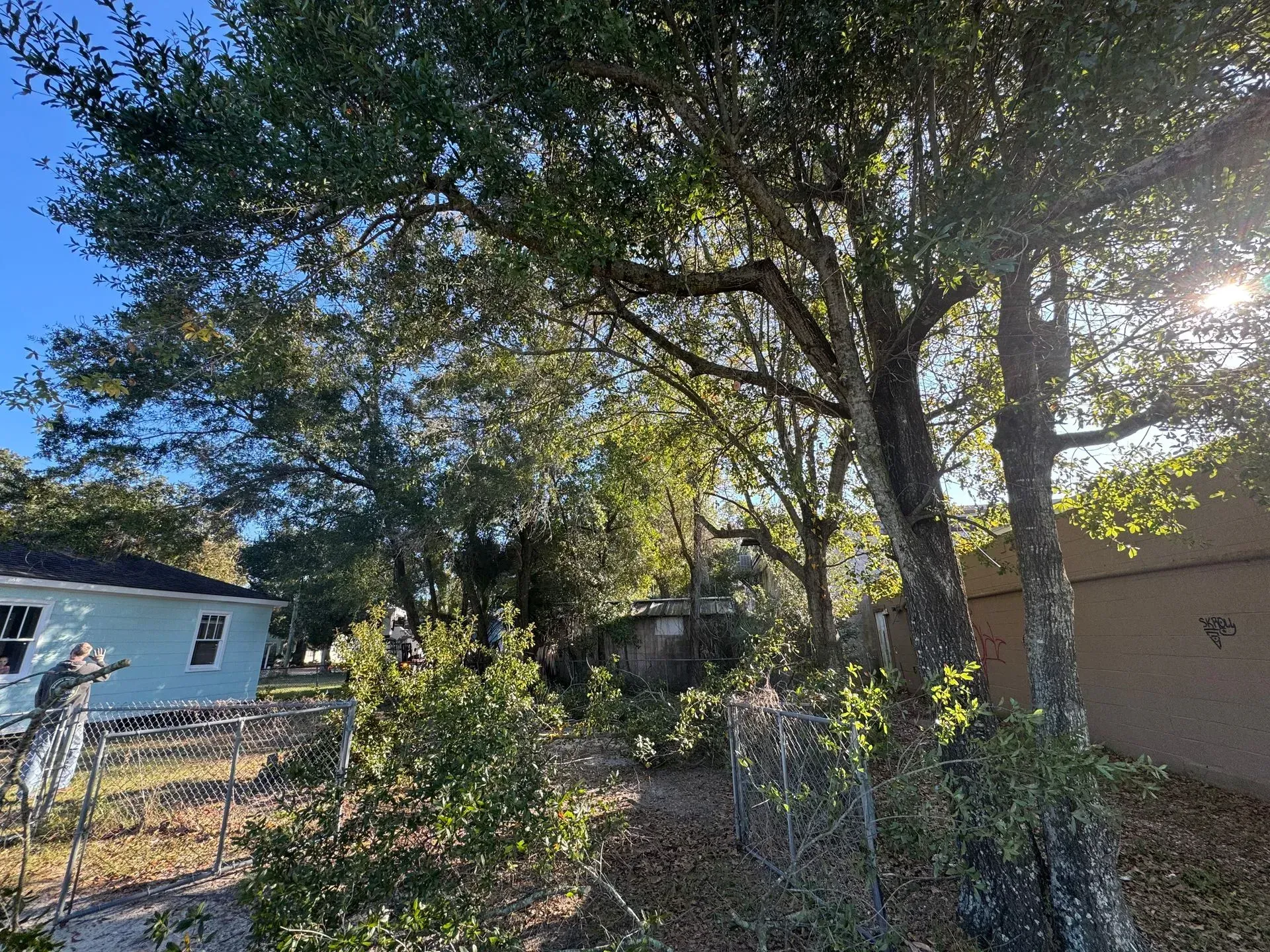 Lush trees with dappled sunlight partially obscure a light blue house on a sunny day.