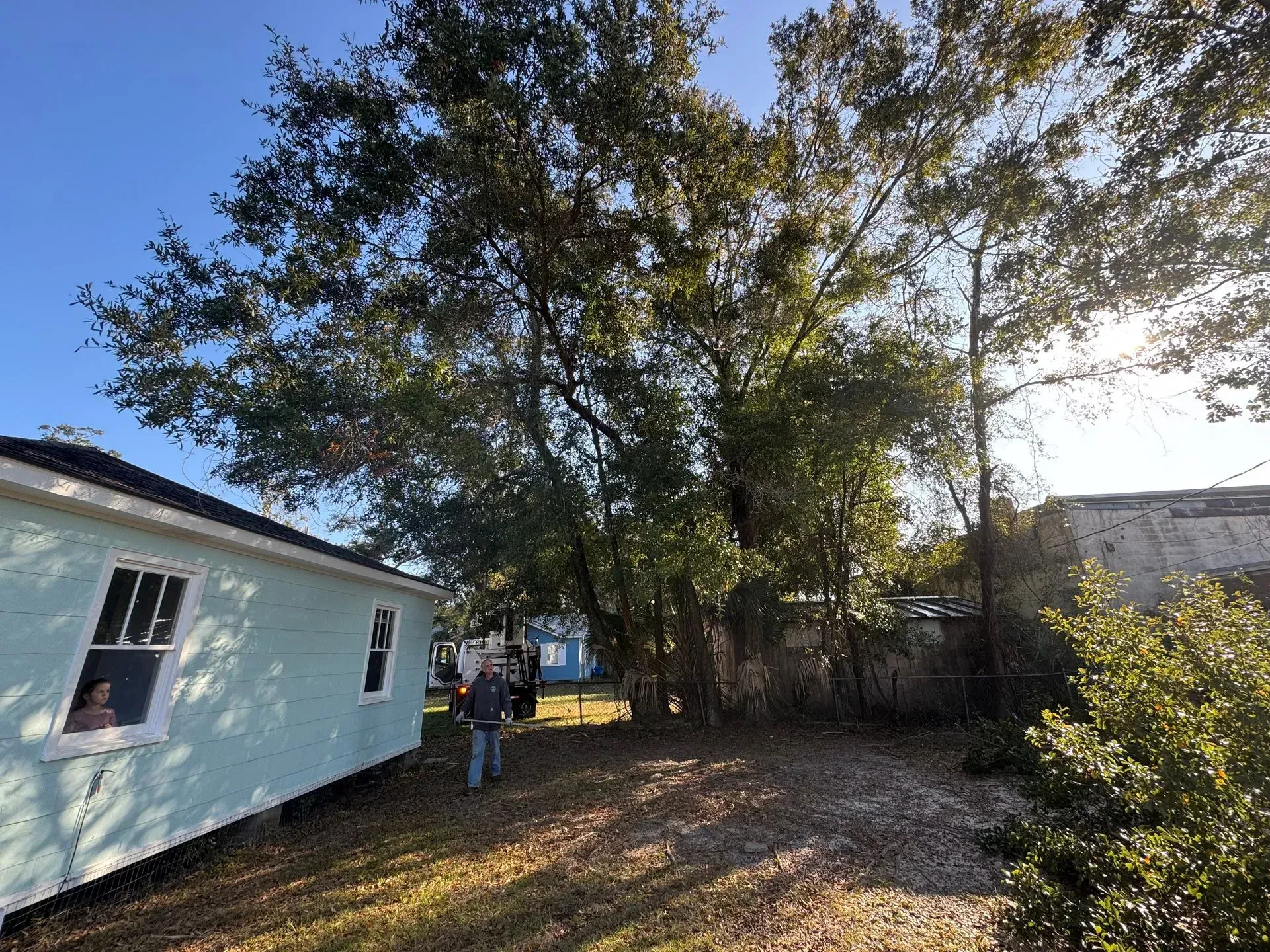 A person walks toward a large tree in a yard, with a blue house on the left and a building on the right.