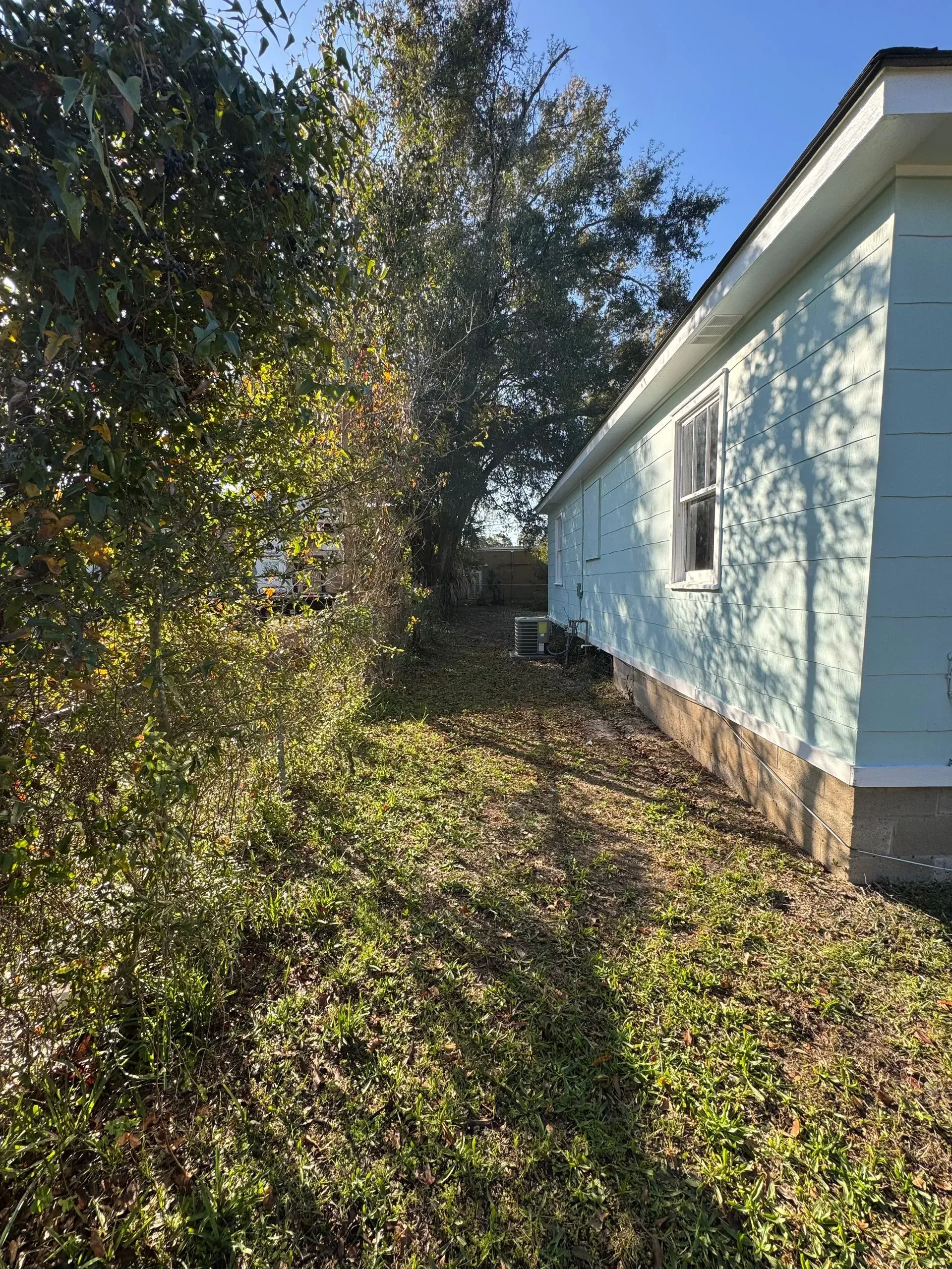 Side of a light blue house next to overgrown vegetation; a small window is visible.