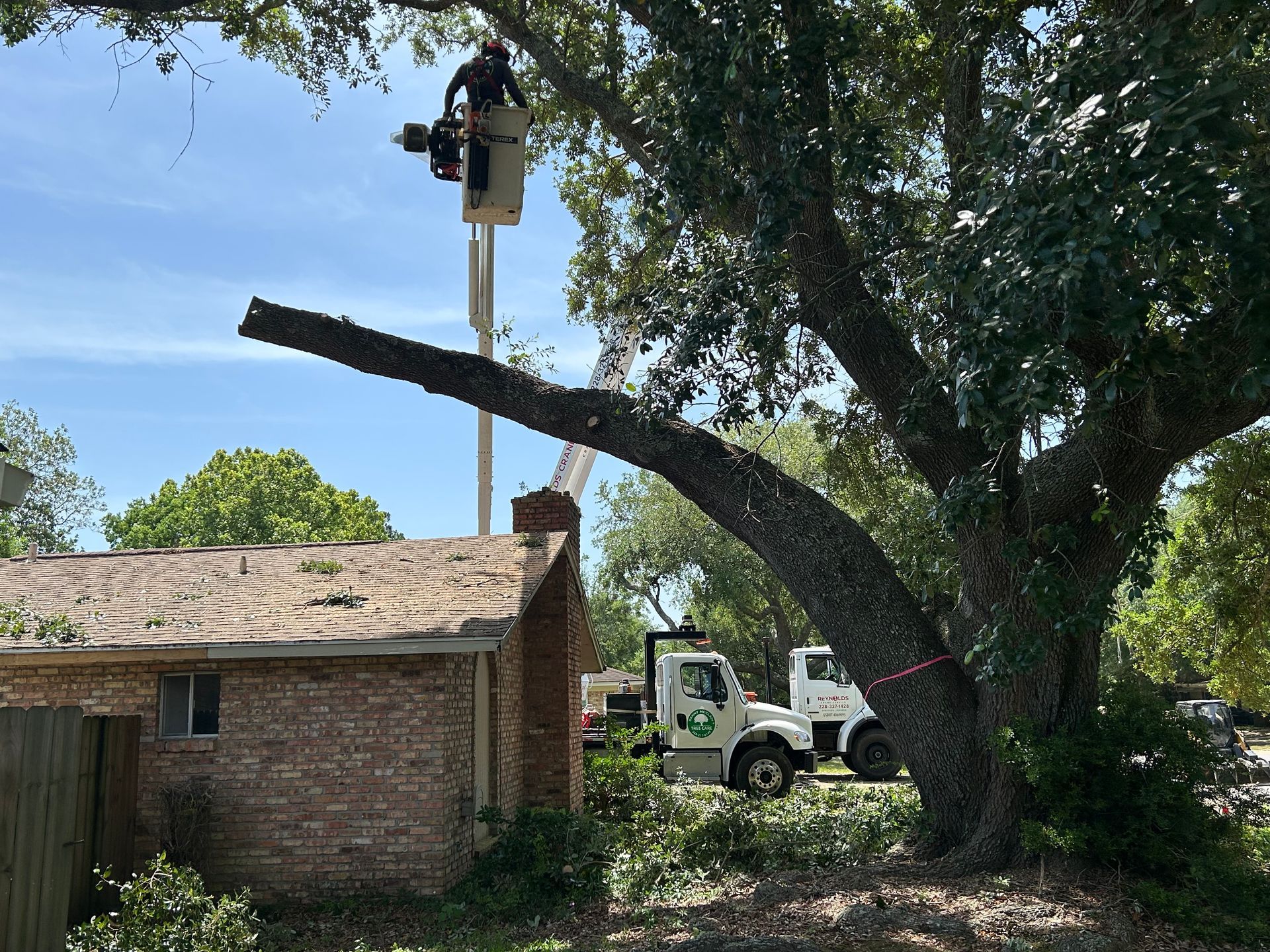 Tree trimming, worker in lift bucket saws tree branch near a brick house. A white truck is on the ground.