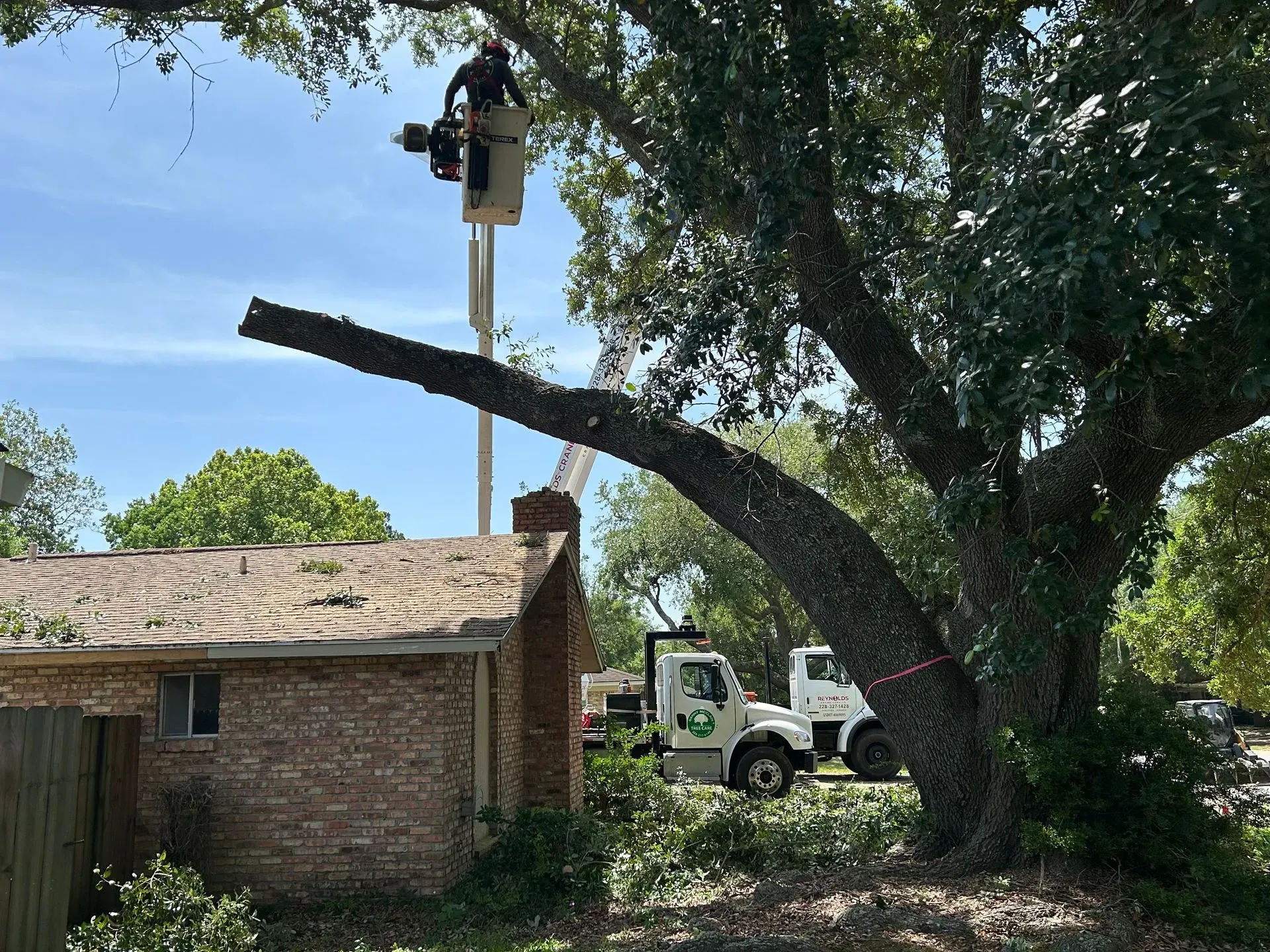 A tree service worker in a lift trims a tree branch next to a brick house. A truck is parked nearby.