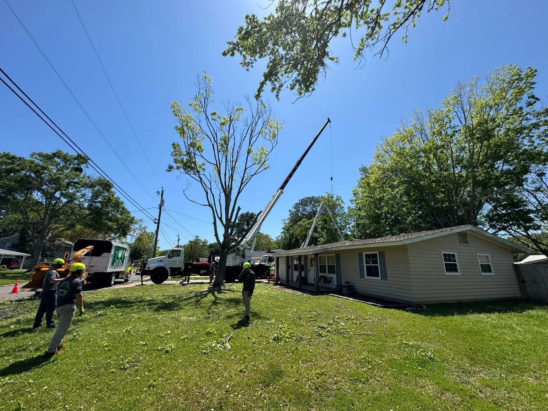 Crews trimming a tall tree near power lines above a beige house on a sunny day. A crane is in use.