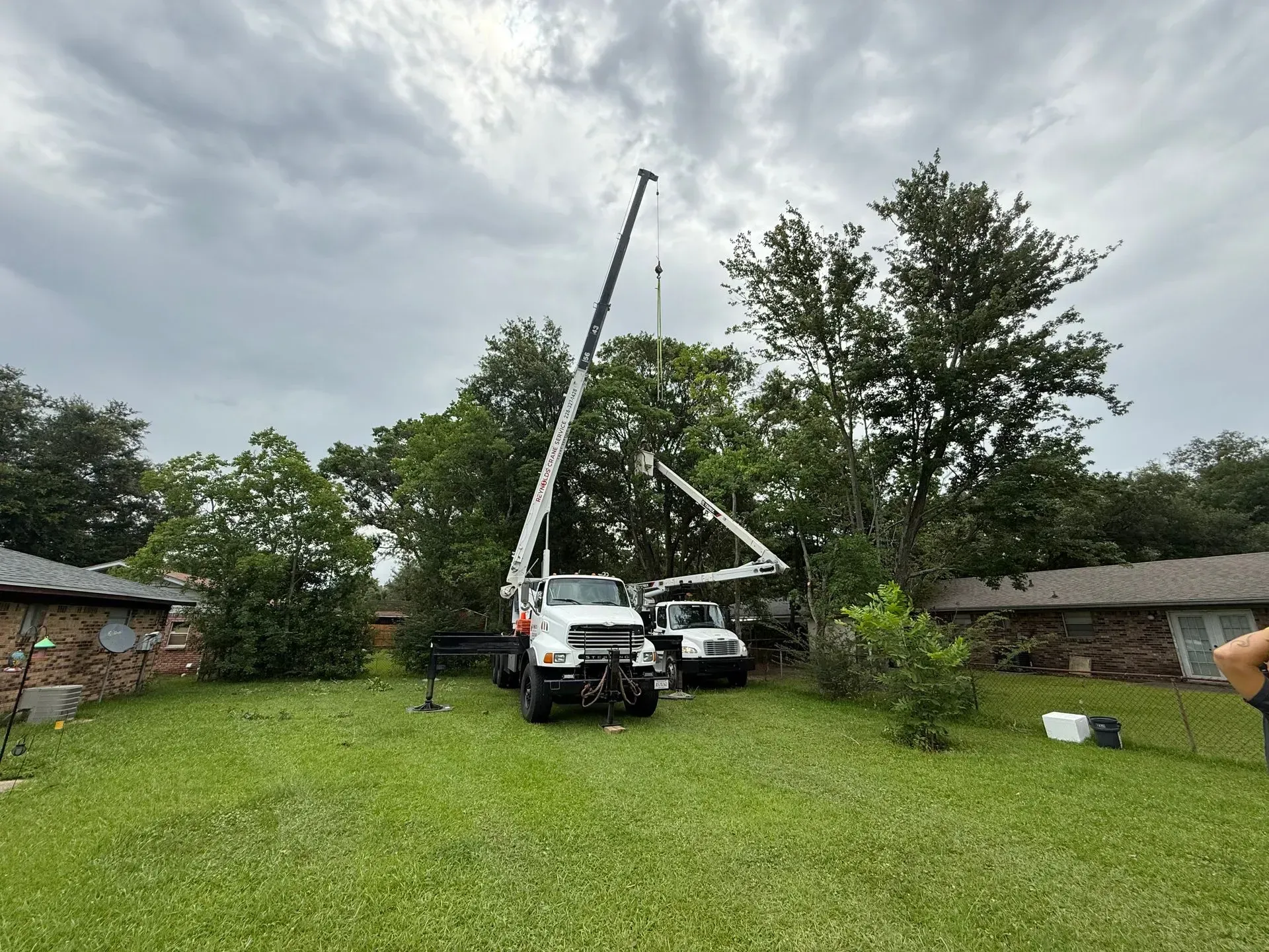 Two trucks with extended booms trimming tall trees in a backyard with green grass under a cloudy sky.
