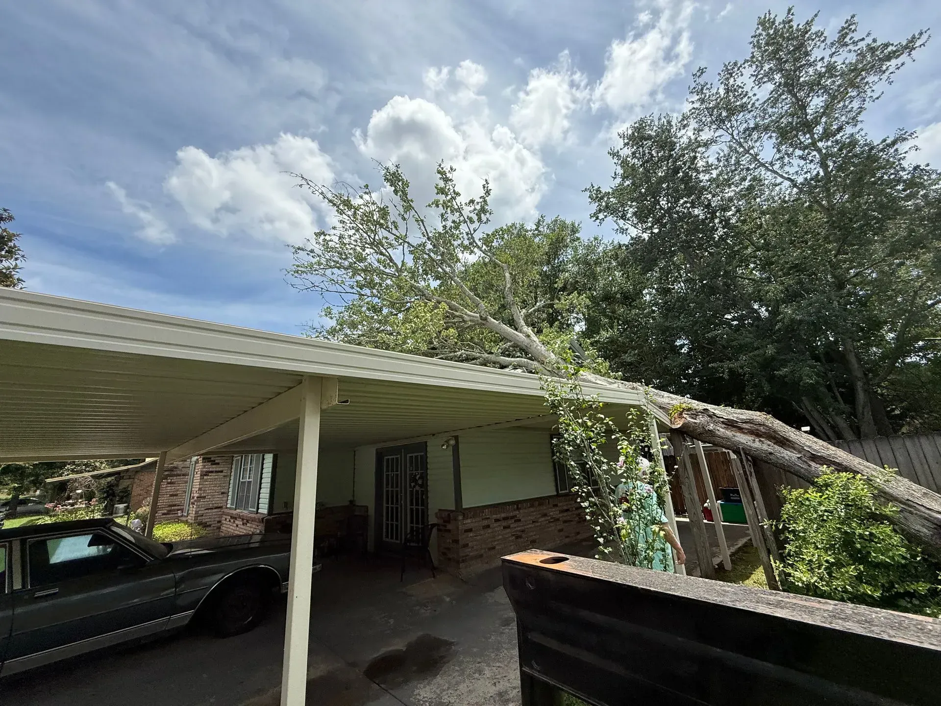 Tree branch fallen onto a carport roof, partially covering a dark-colored car. Cloudy sky in the background.
