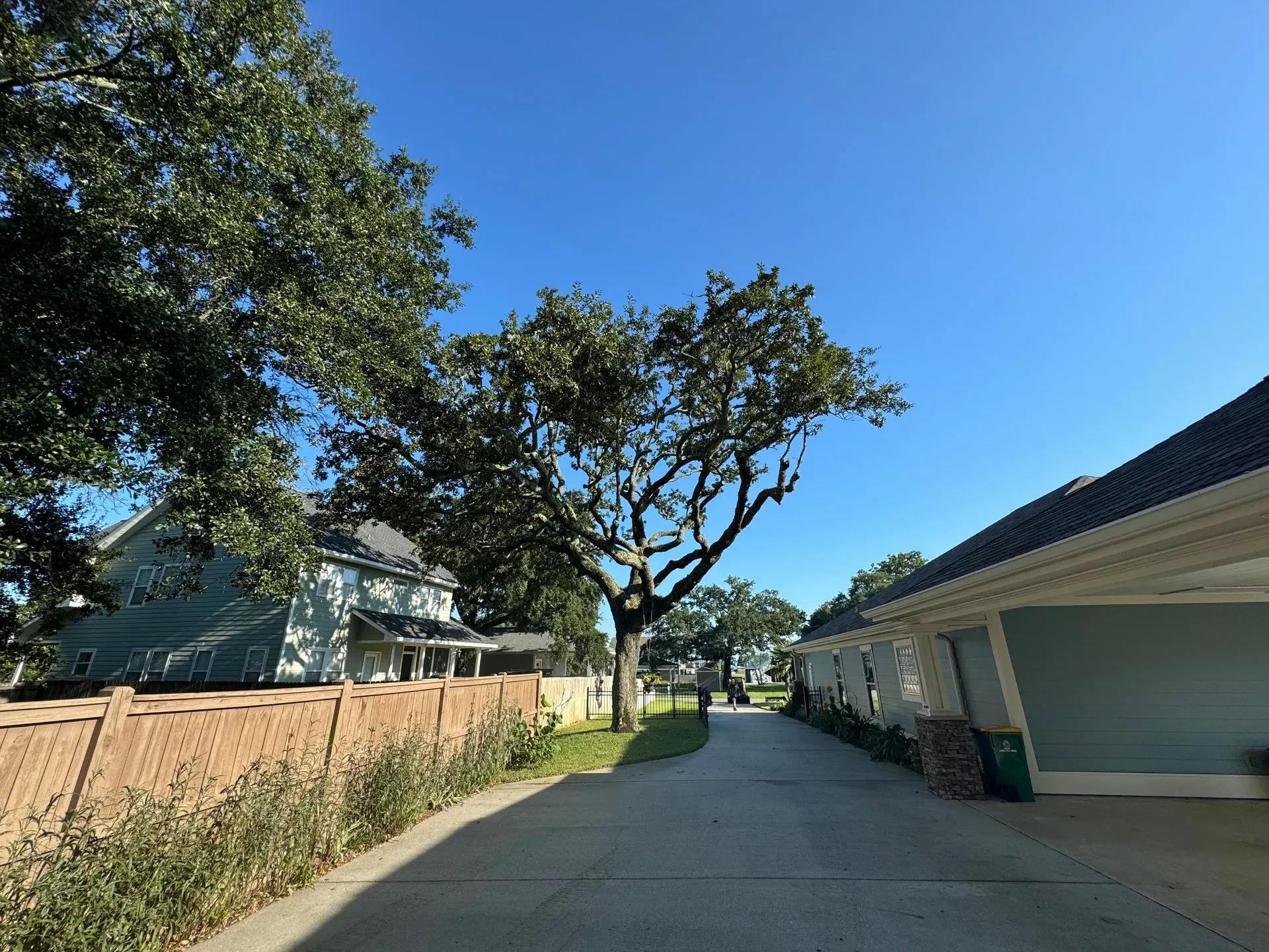 Paved driveway between a fence and building, leading toward a large tree under a bright blue sky.