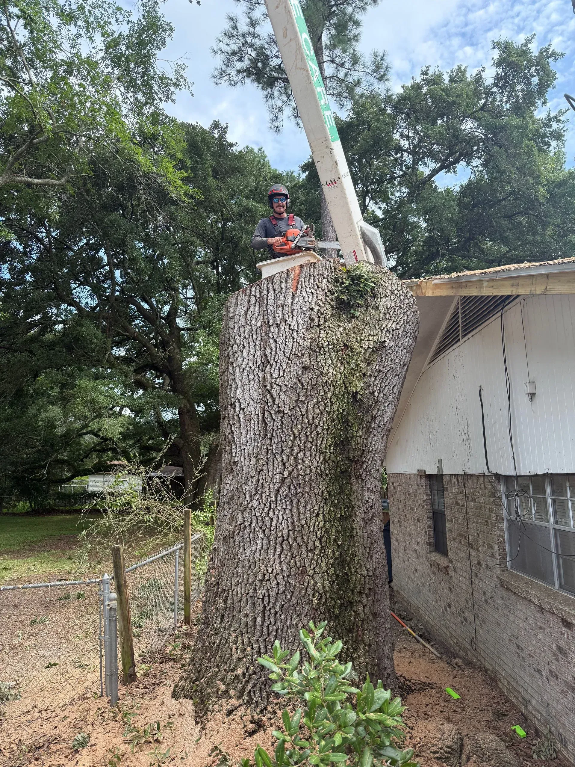 Man using a chainsaw in an aerial lift to trim a tree near a house.