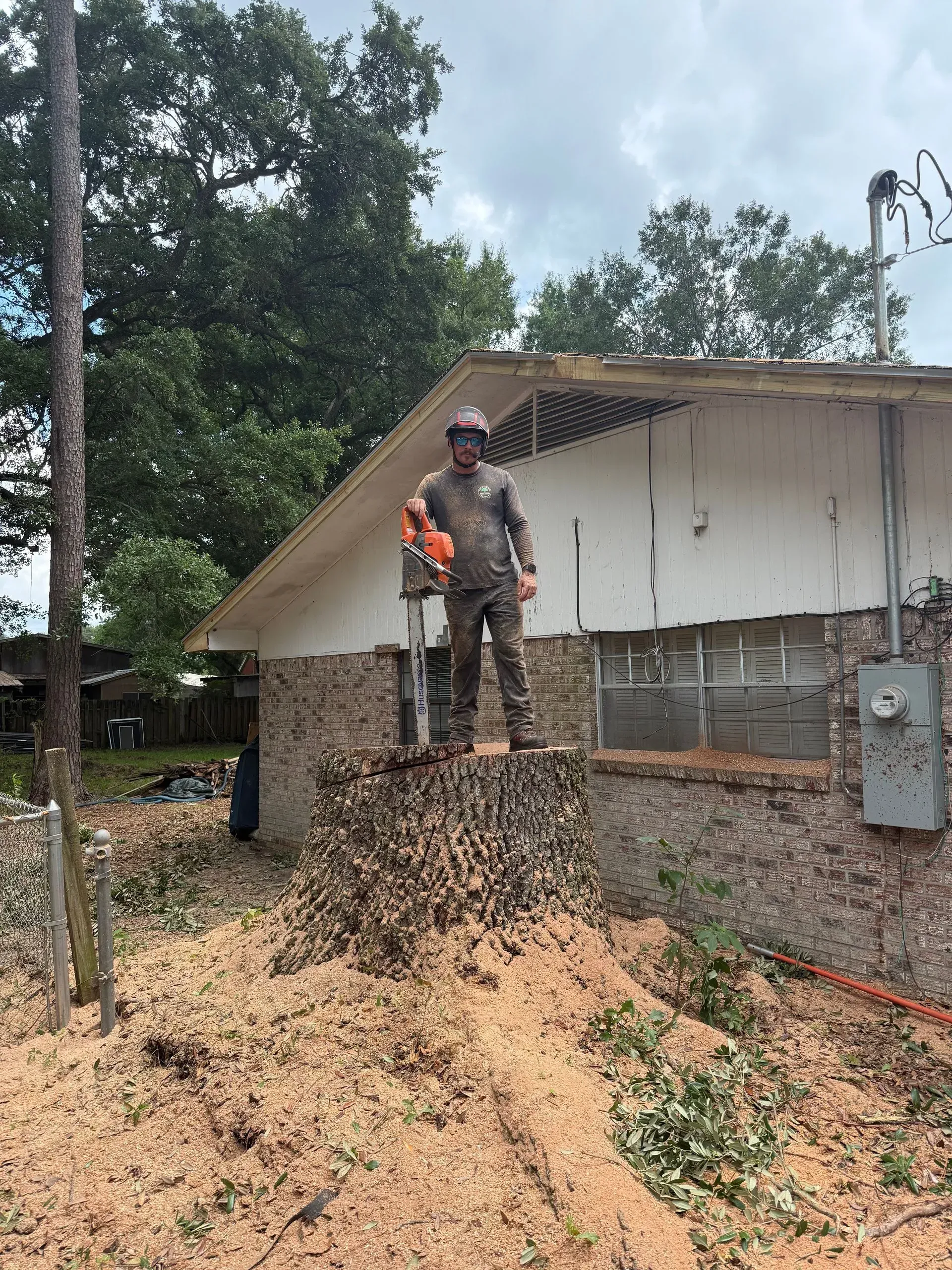 Man with chainsaw on stump near building; outdoors.