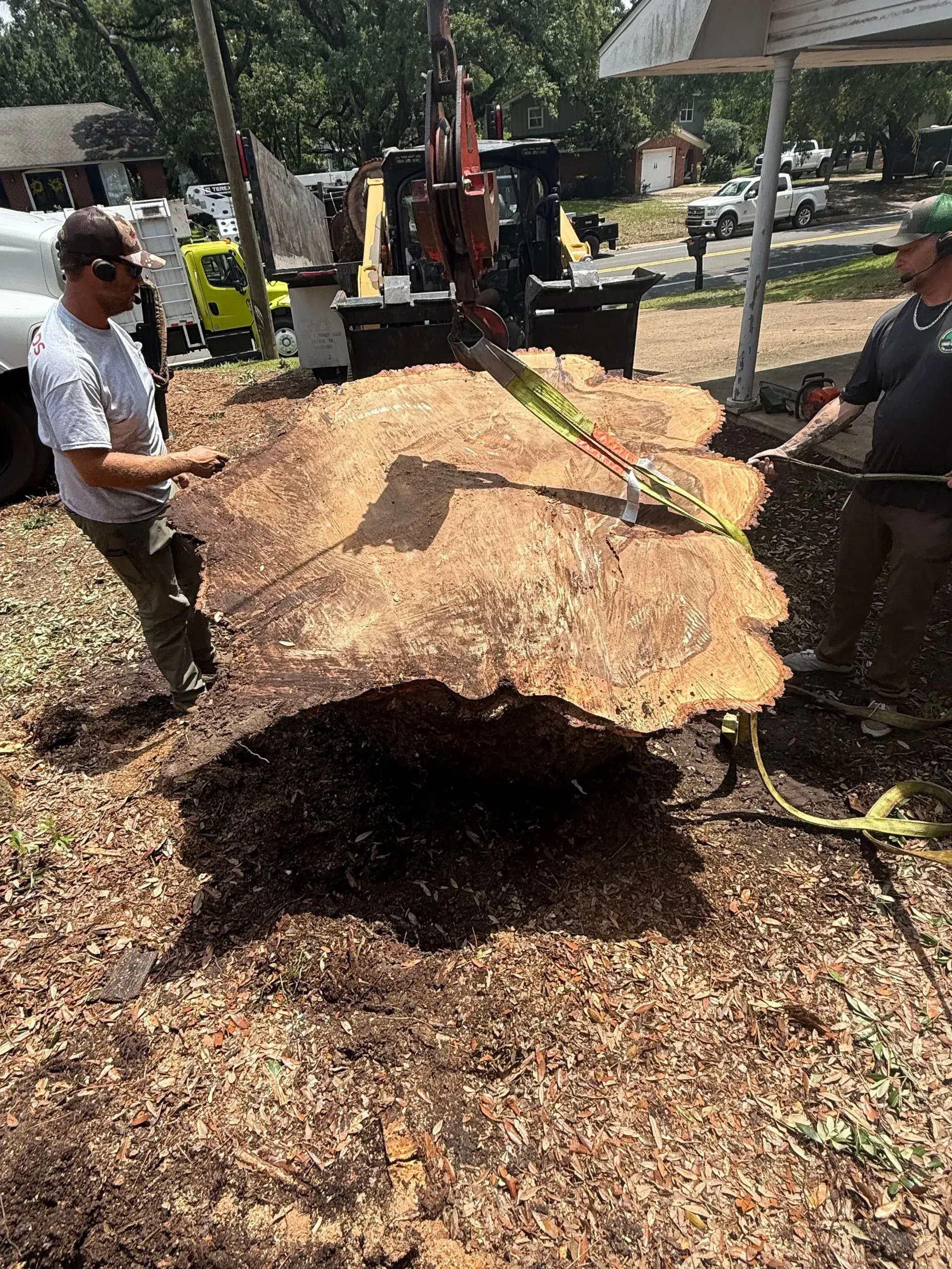 Two men lifting a large, flat tree trunk section, outdoors. Sunlight, ground covered in wood chips, vehicle visible.