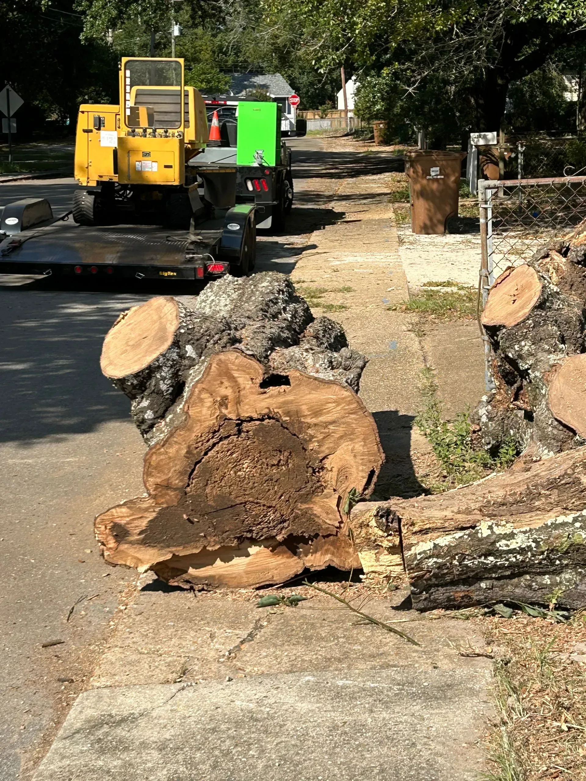Large tree trunk pieces on a sidewalk, a wood chipper on a trailer behind them.
