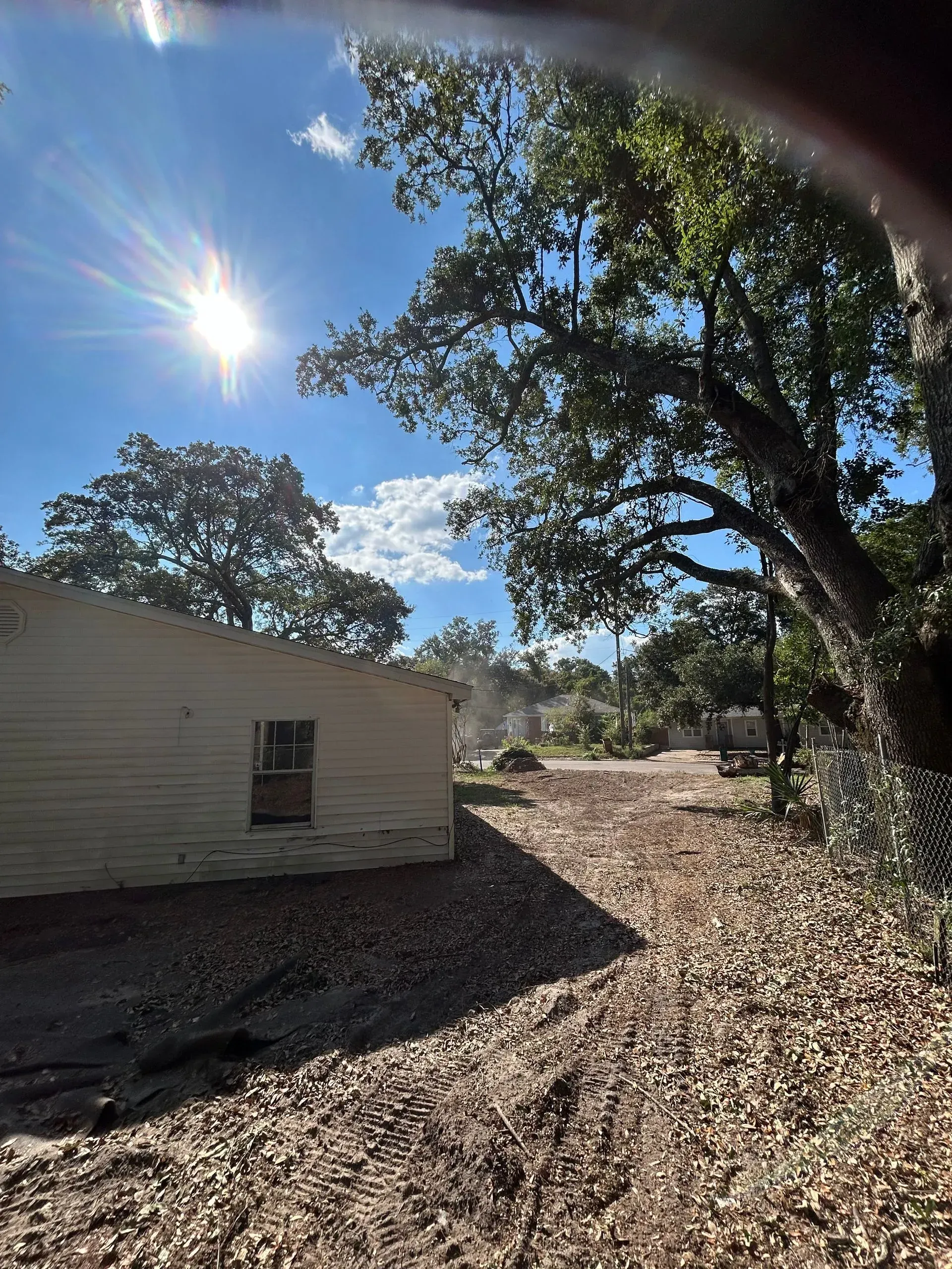 Sunlit exterior of a beige building with a small window, dirt path, and large trees on a bright day.