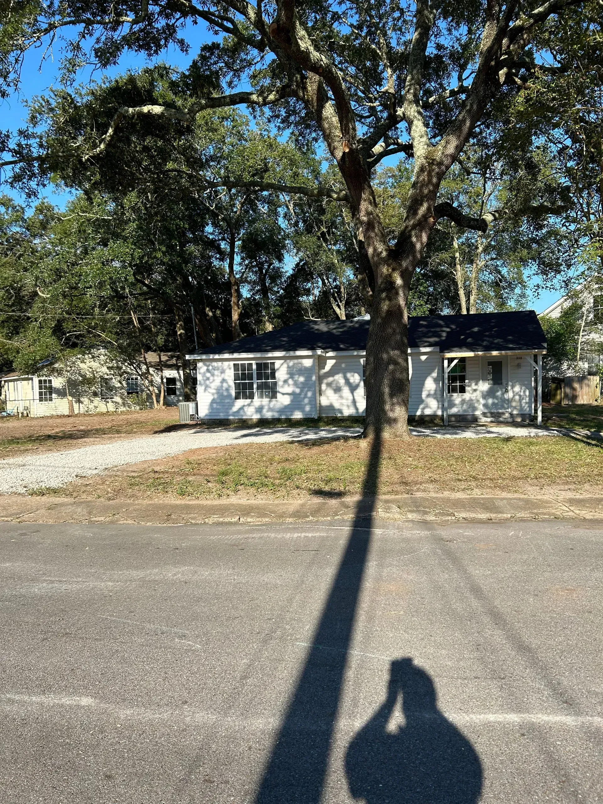 White house partially obscured by a tree, with a shadow of the photographer in the foreground.