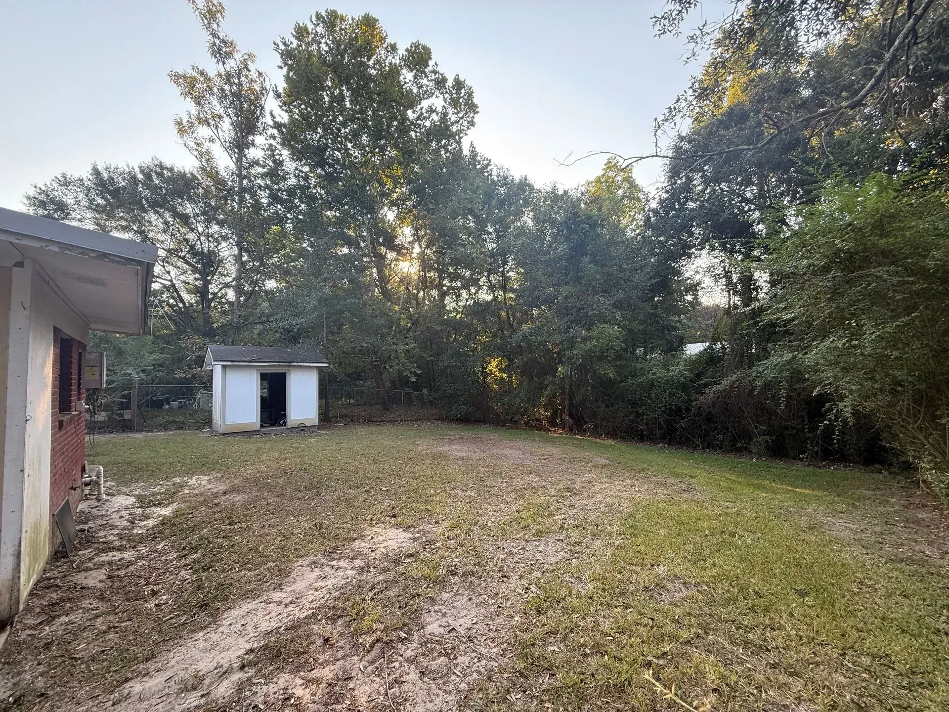 Grassy backyard with a small white shed, surrounded by trees and a building on the left.