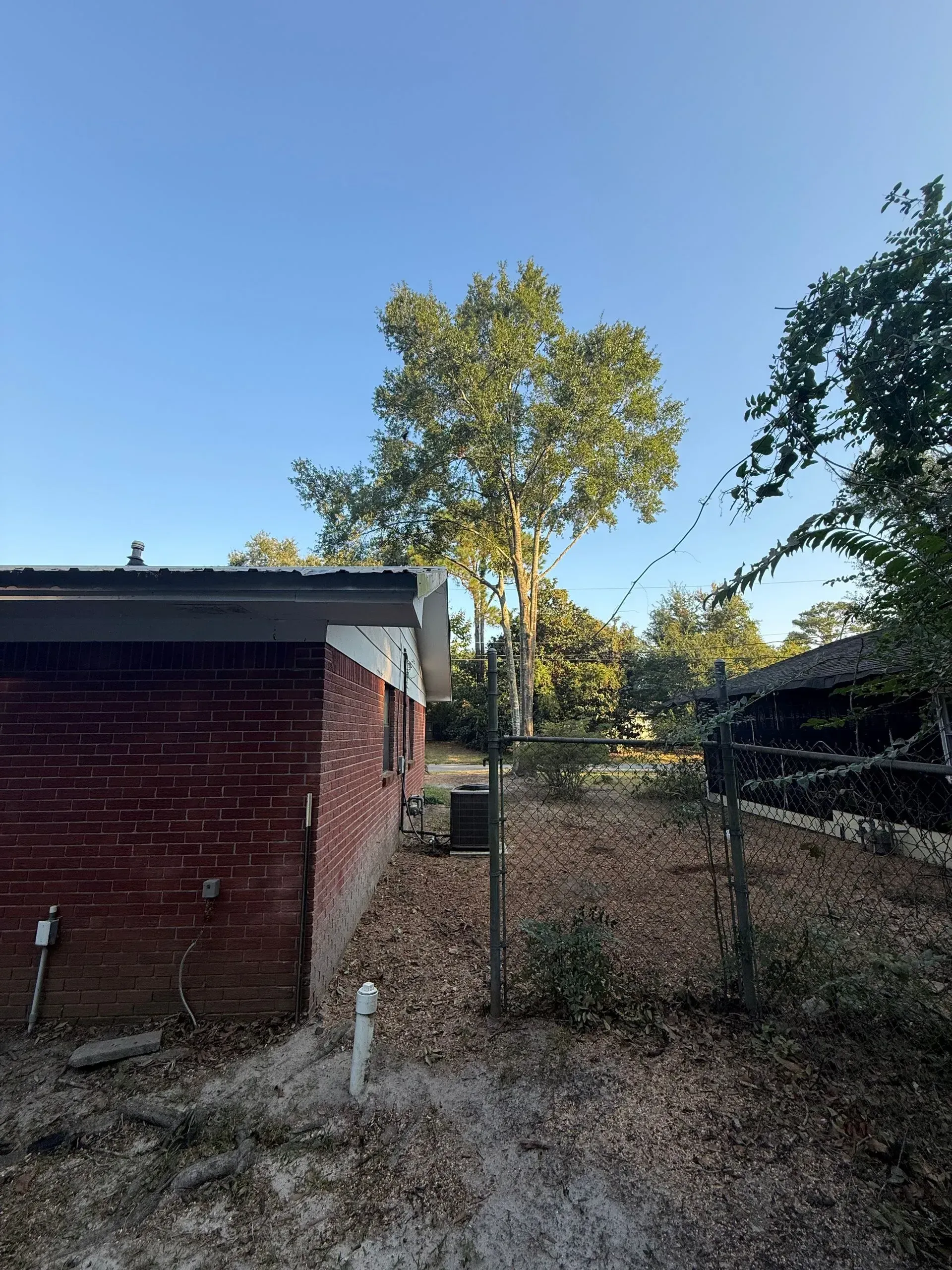 Brick building exterior with a large tree in the background, set against a blue sky.