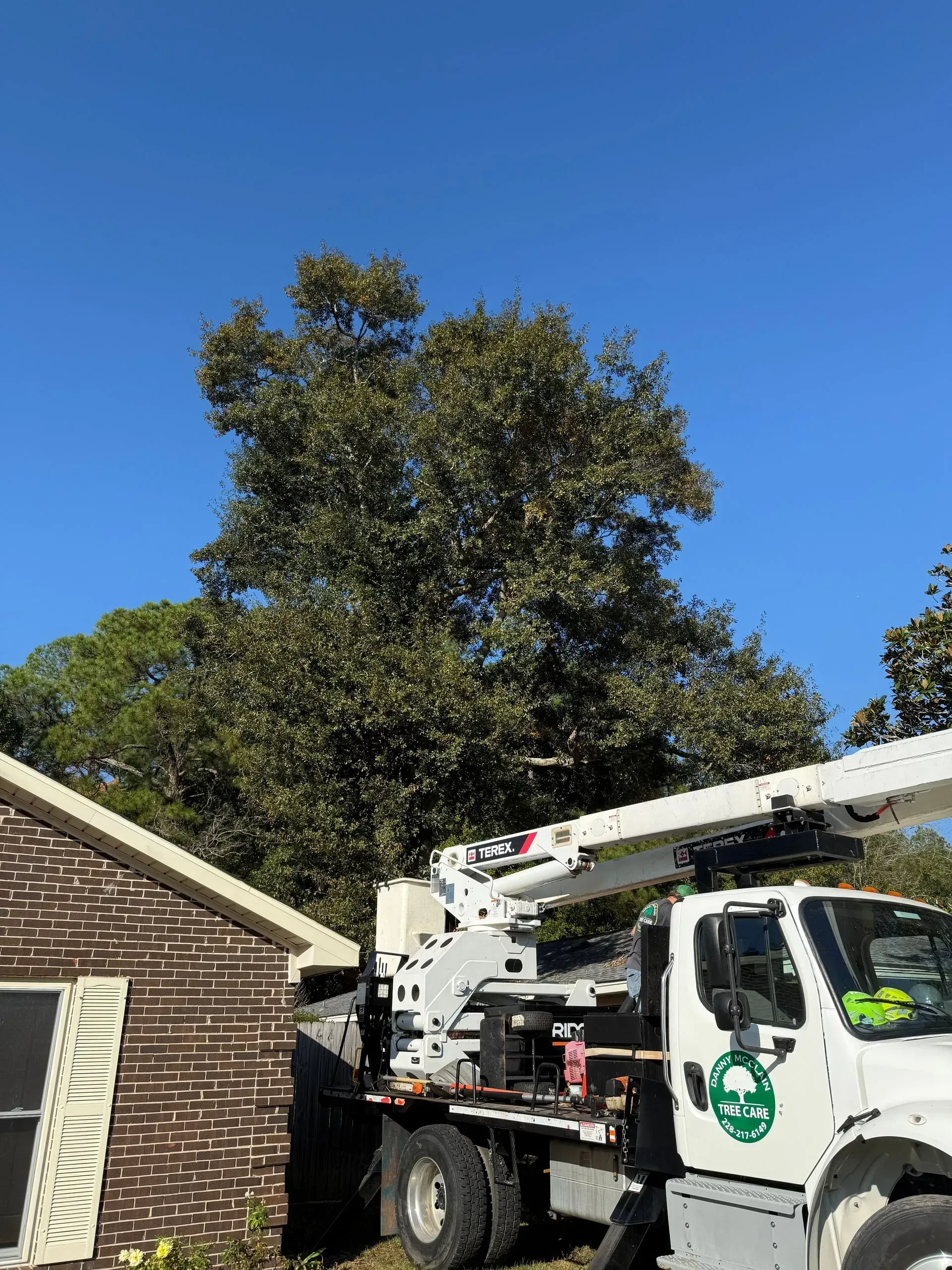 Tree service truck near a tree and a brick building, under a blue sky.