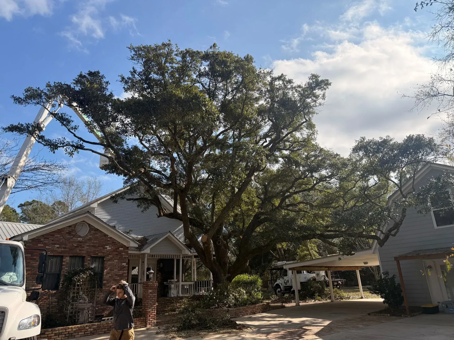 Tree trimming over a house; cherry picker in use, sunlight, partly cloudy sky.