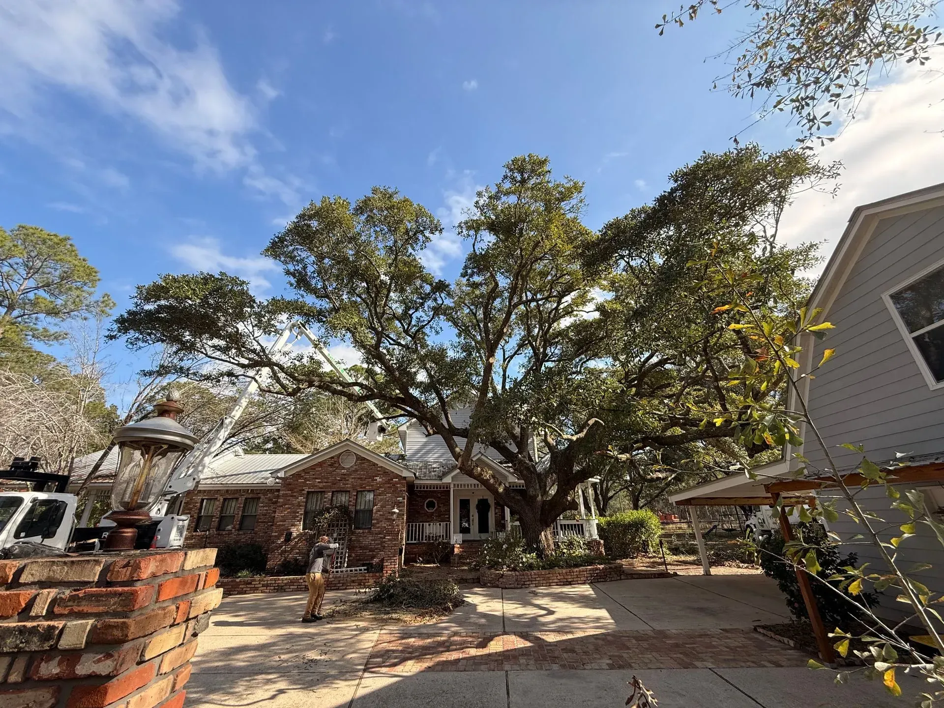 A large tree shades a brick house on a sunny day with a blue sky.