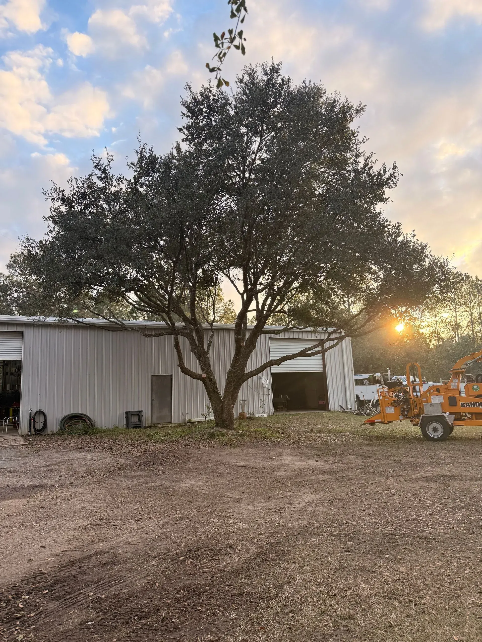 Tree in front of a white metal building with open bays, under a sunset.