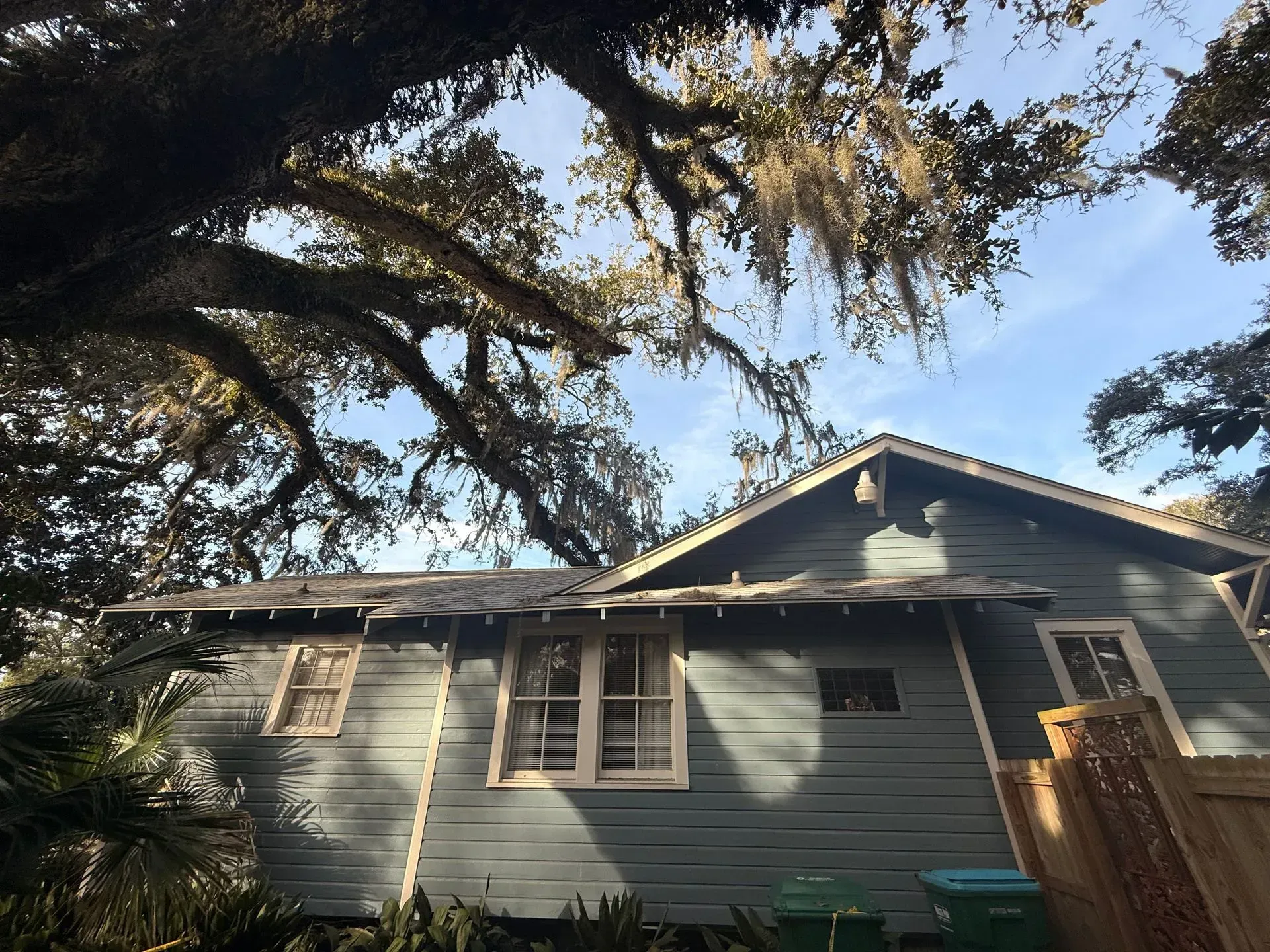 Blue house with roof under the branches of a tree with hanging Spanish moss.