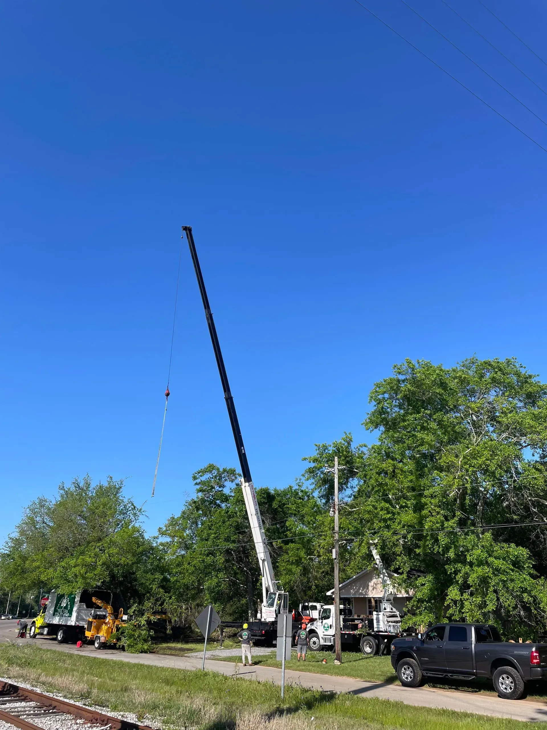 Crane and work trucks near trees and power lines on a sunny day.