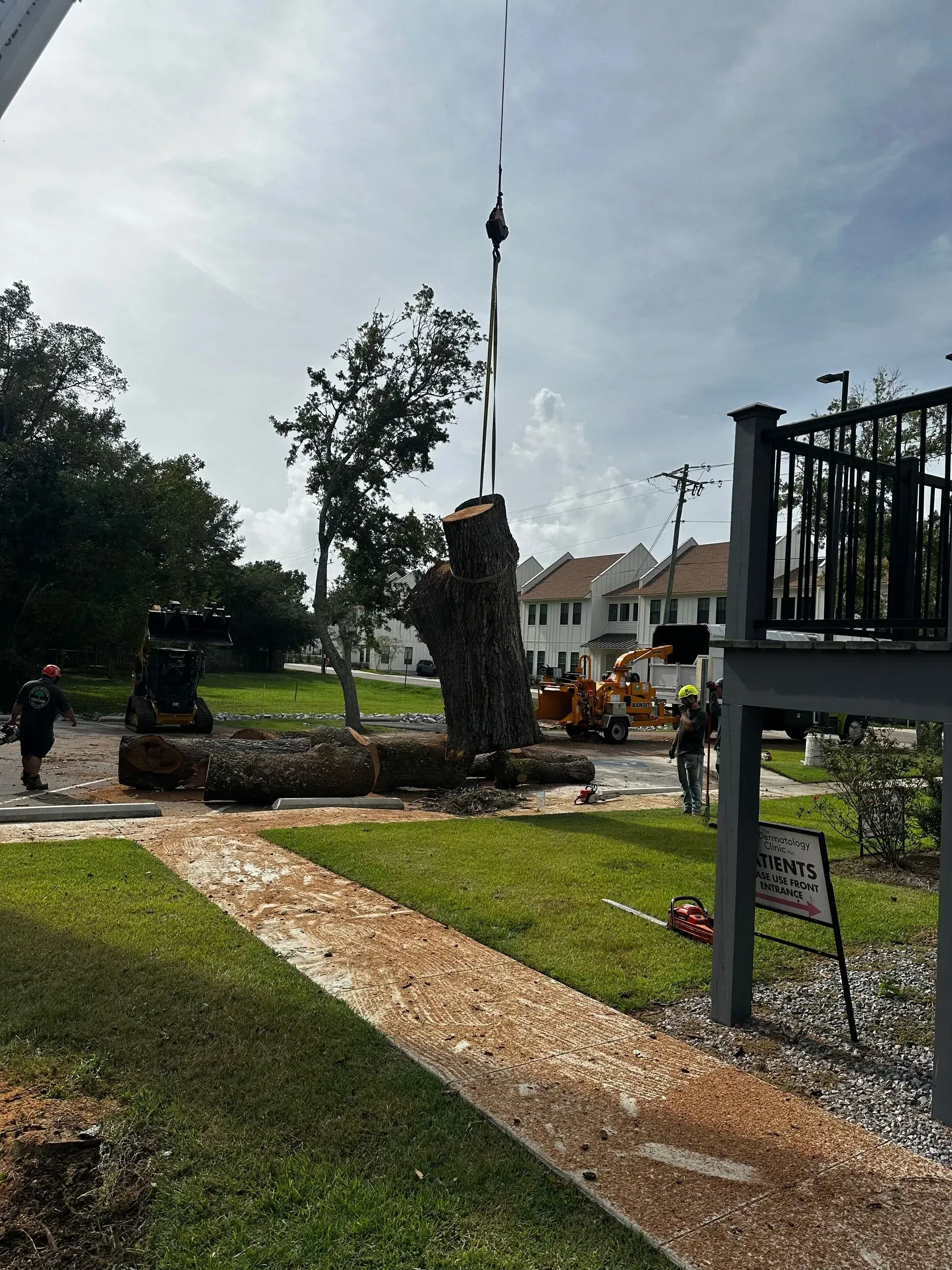 Tree removal operation: A large tree trunk being lifted by a crane on a residential street.
