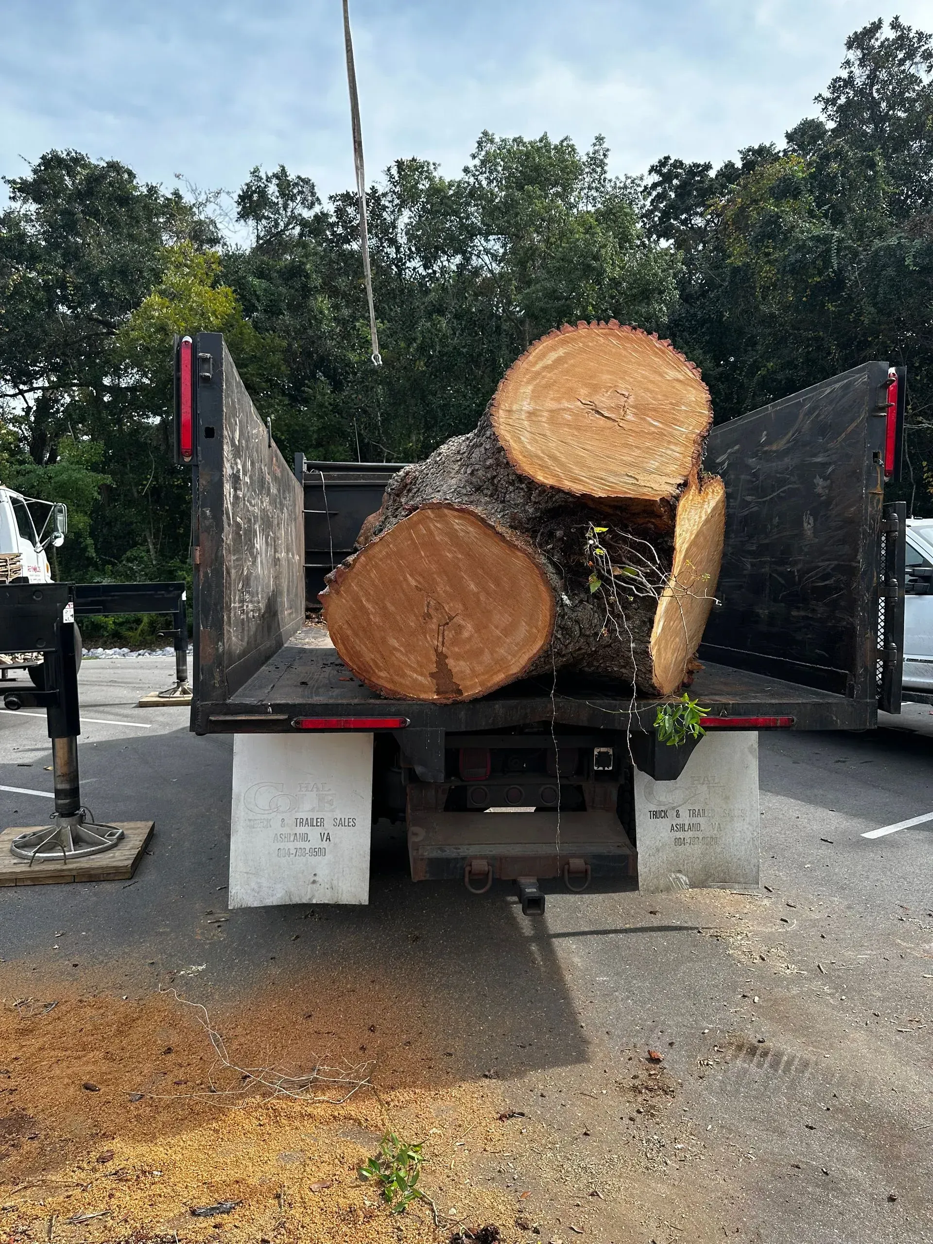 Logs inside a black truck bed, ready for transport. Sawdust on the ground.