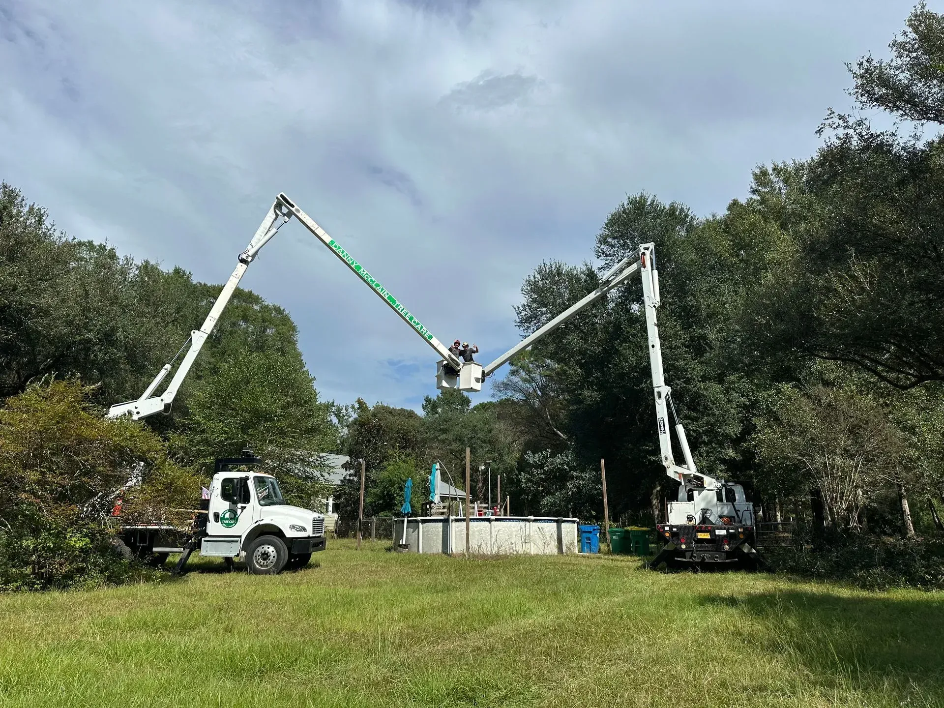 Two cherry pickers trimming trees over a swimming pool on a grassy lawn under a cloudy sky.