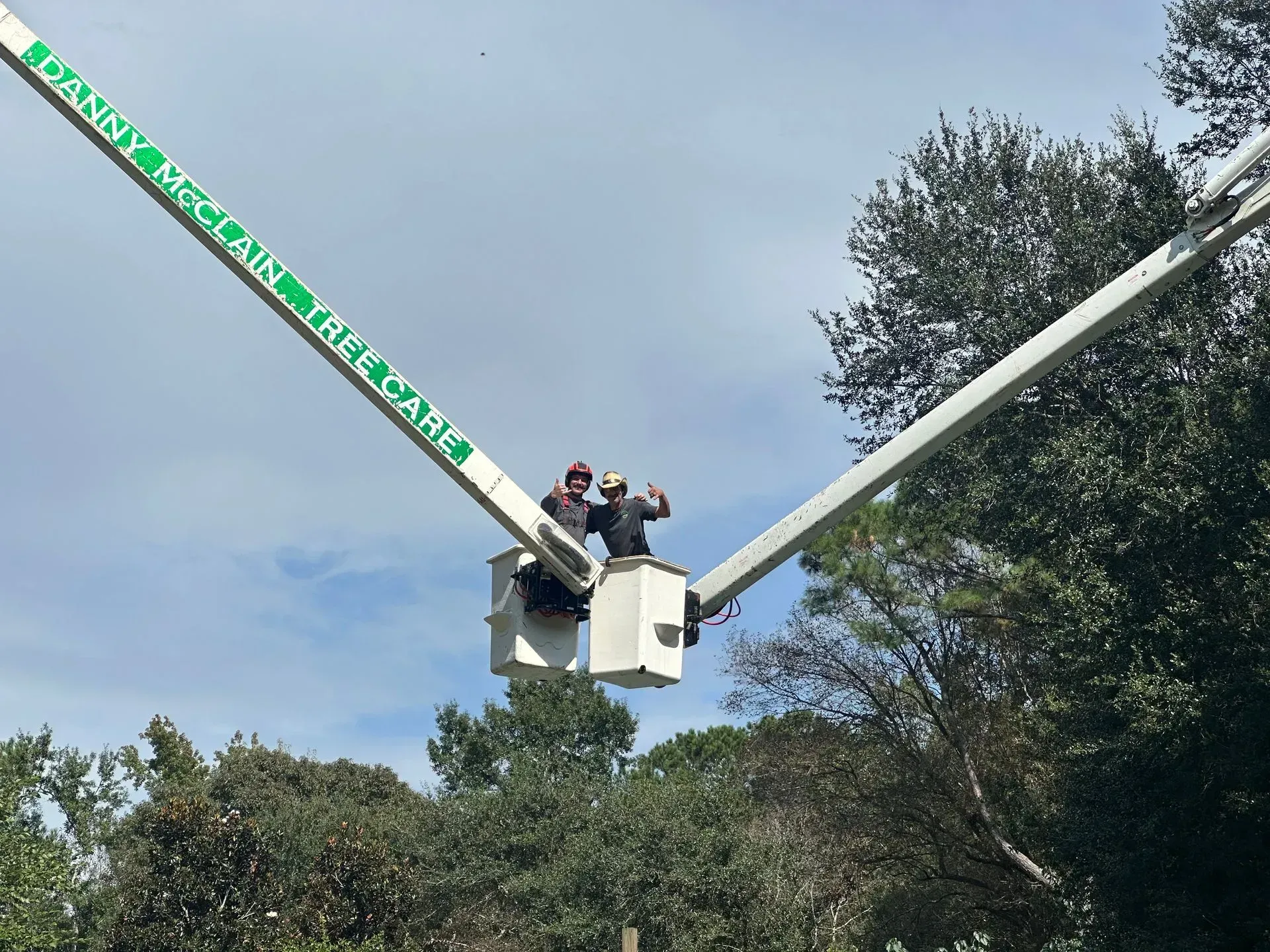 Two workers in a bucket lift trimming a tree; blue sky background. The lift arm has 
