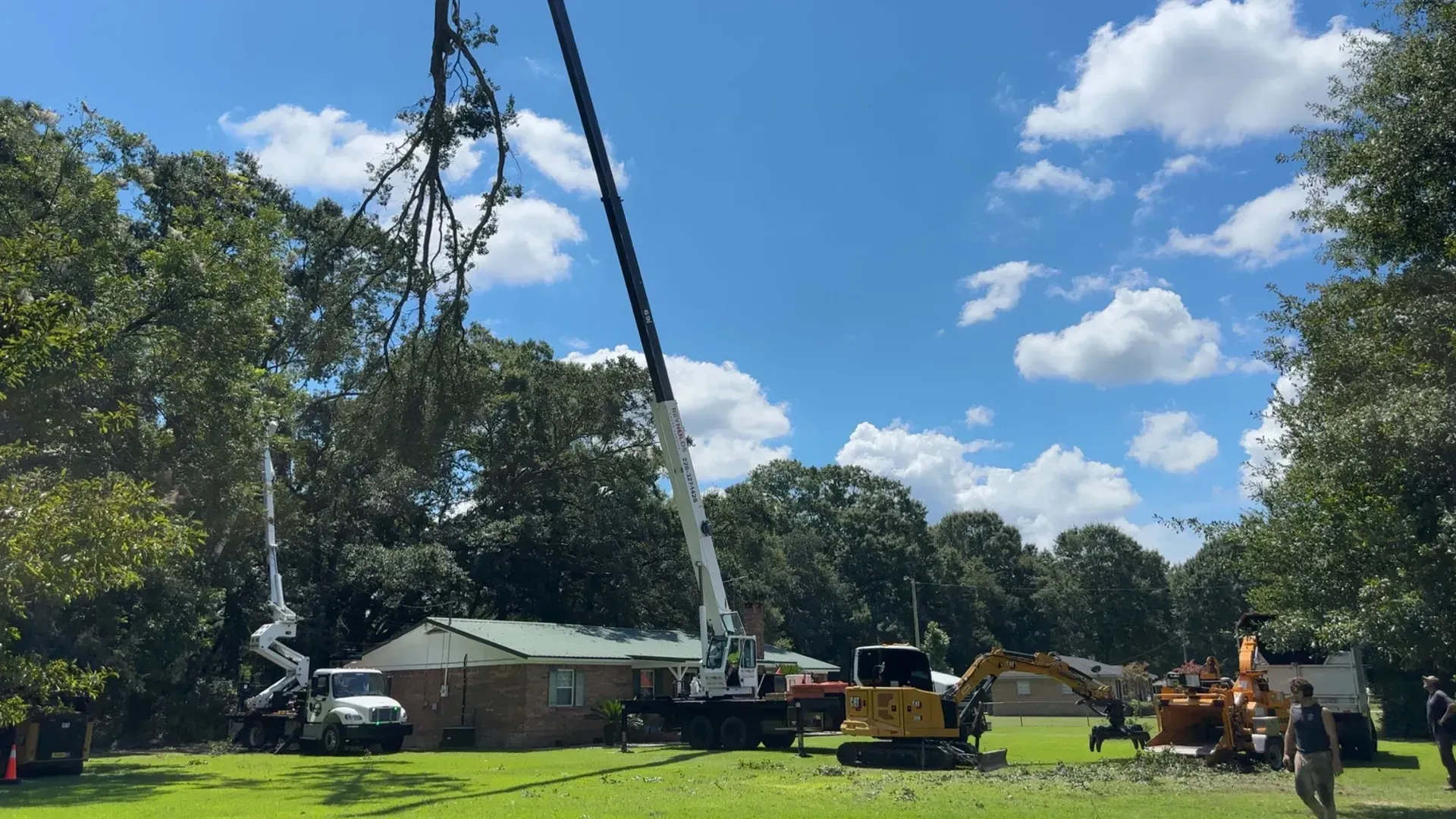 A crane removing tree branches near a house on a sunny day. Other equipment and workers are visible.
