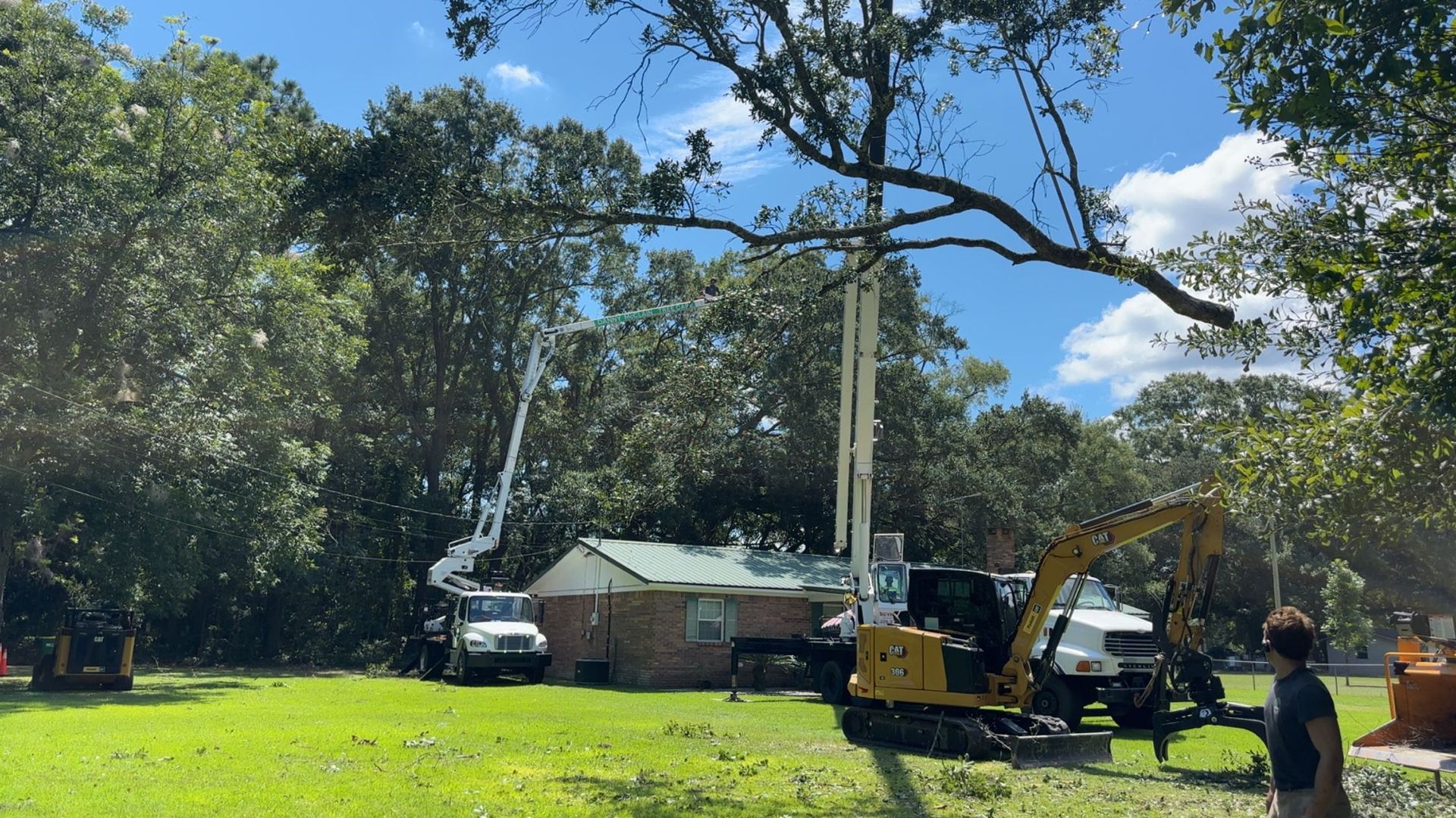 Tree removal in progress: two lift trucks, a small excavator, and workers in a yard removing a tree near a house.