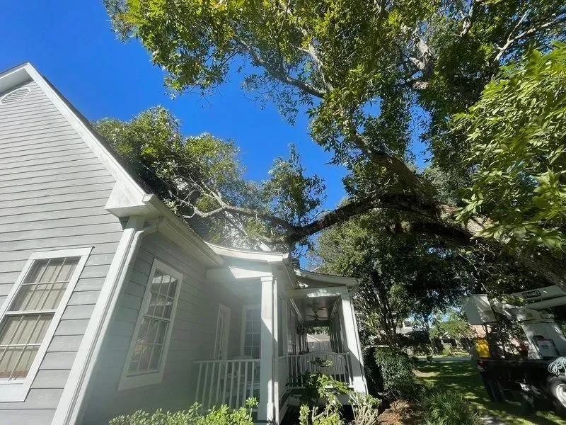 Tree branches resting on the roof of a house, causing damage, under a blue sky.