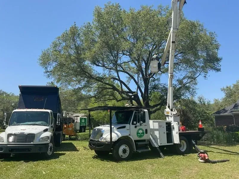Two work trucks parked on grass near a tree. One truck has a lift extending towards the tree. Blue sky.