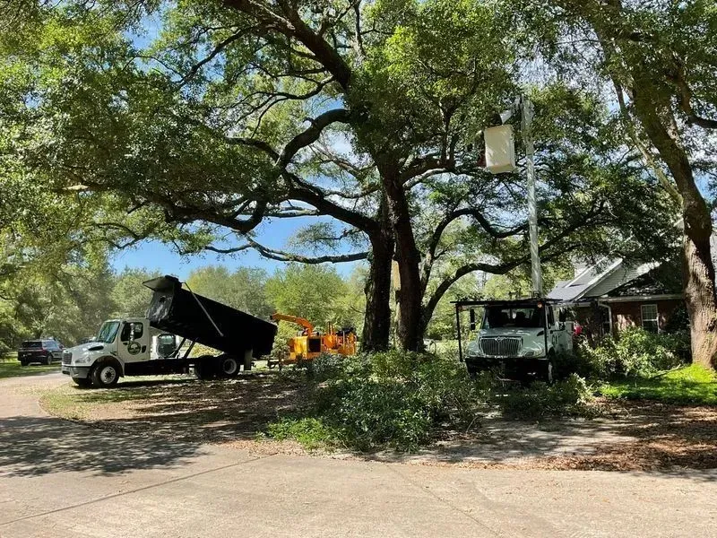 Tree trimming crew with trucks and equipment near a house; blue sky.