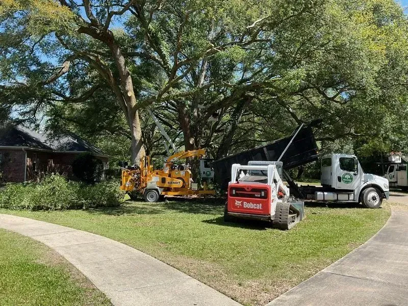 Tree removal equipment near a house: chipper, skid steer, and a truck.