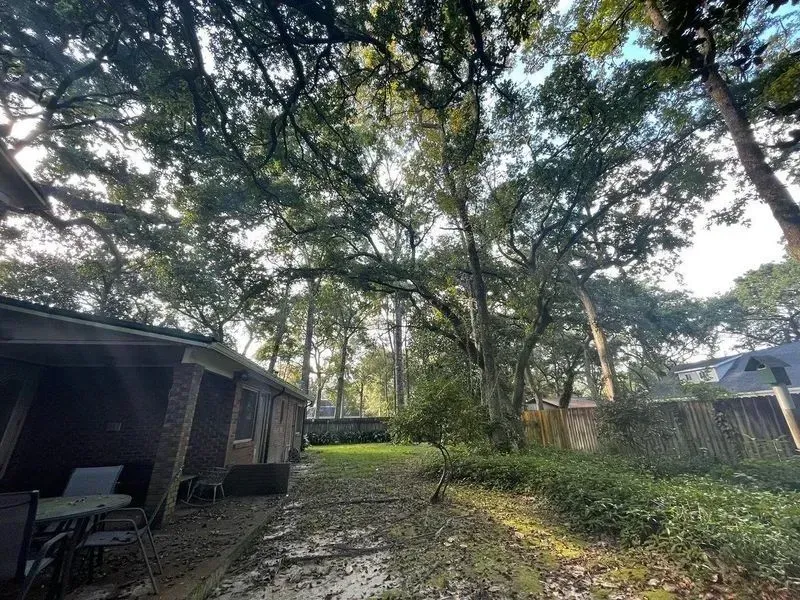 Backyard with brick building, patio furniture, and large tree canopy. Overcast sky.