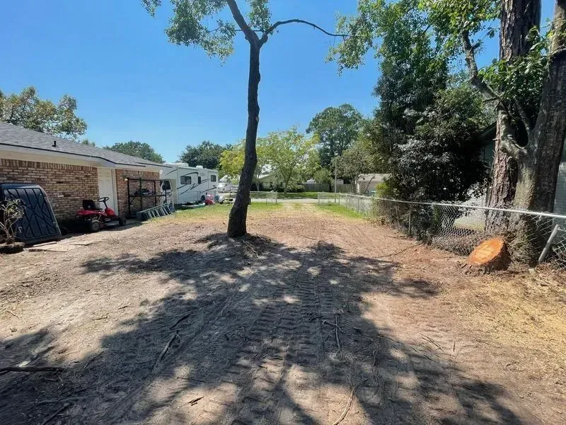Bare yard with a tree and shadow, bordering a chain-link fence, under a blue sky.