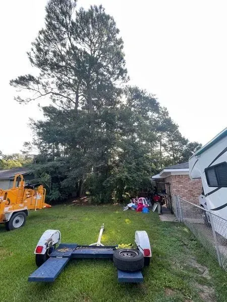 Tall tree being cut down behind a house. Trailer, chipper, and toys are visible in the yard.