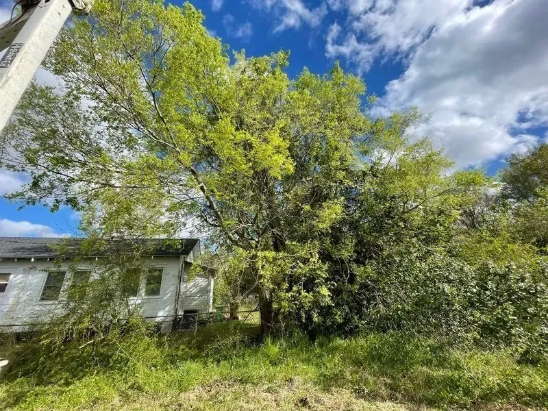Overgrown grass and foliage surround a weathered white building and a large tree under a partly cloudy sky.