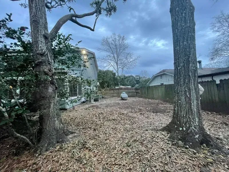 Backyard covered in leaves, with trees flanking the view toward houses and a cloudy sky.