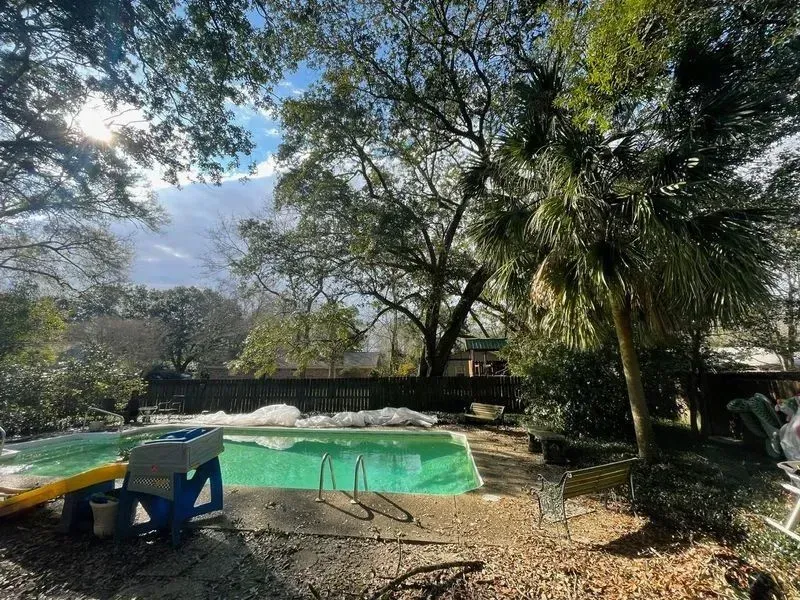 Backyard pool with green water, surrounded by trees and a brown fence. Sunlight peeks through the branches.
