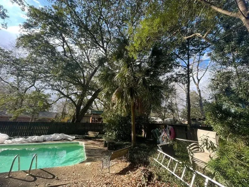 Backyard scene with a pool, palm tree, ladder, and trees; cloudy sky.