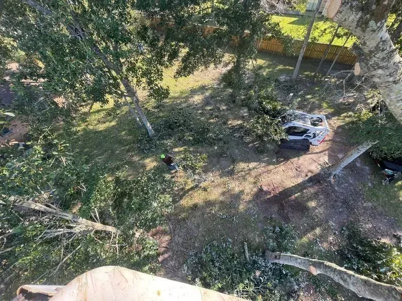 View from above of a car crushed by fallen tree branches in a yard.