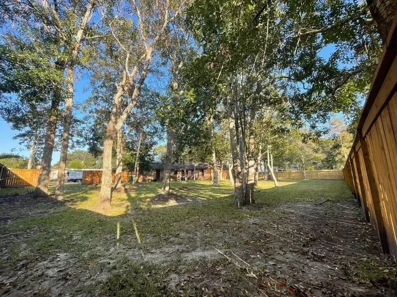 Backyard with trees, grass, and a wooden fence. Sunlight filters through the trees.