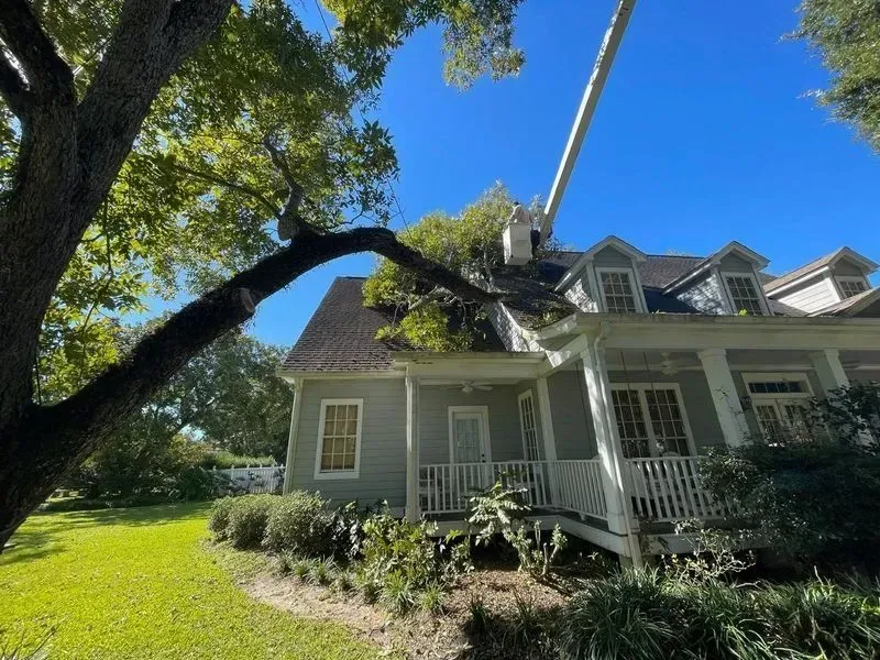 Tree branch on a house roof being cut by a crane against a blue sky.