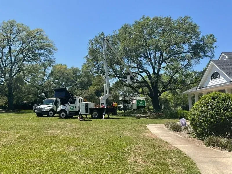 Tree trimming service in progress; bucket truck reaches tall tree, other truck nearby, white house in yard.