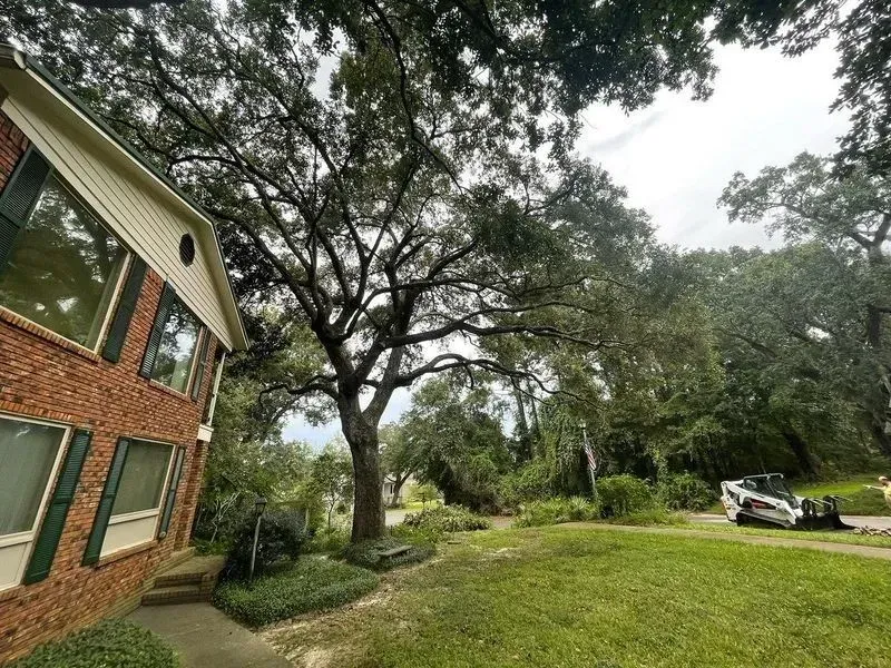 Brick building next to a large tree, green lawn, and a small vehicle on a dirt path. Overcast sky.